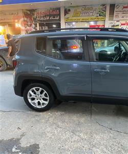 جيب رينيجيد